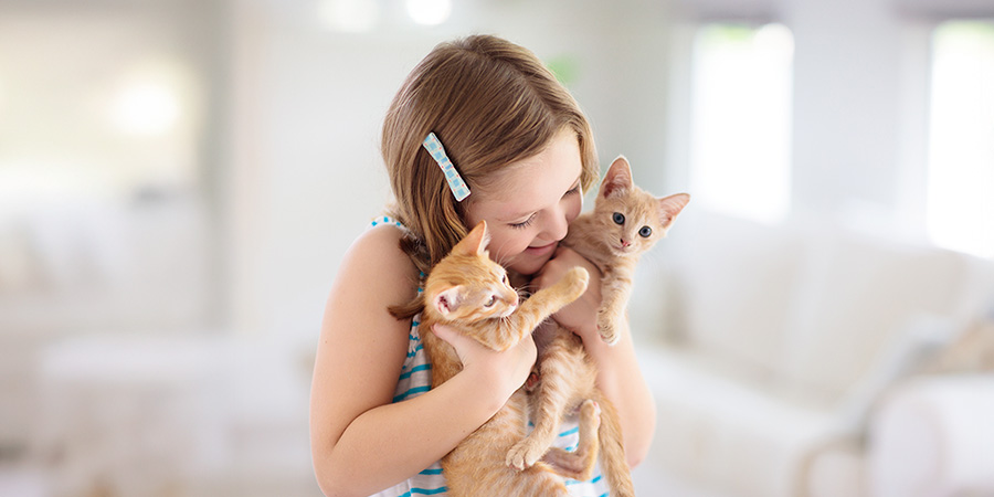 menina com gatos -  Por que ter um animal de estimação pode transformar o desenvolvimento do seu filho